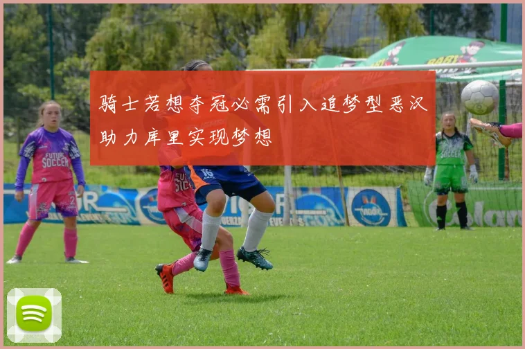 骑士若想夺冠必需引入追梦型恶汉助力库里实现梦想